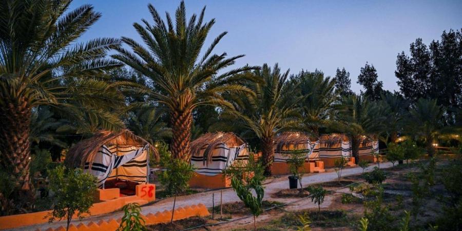 المزارع السياحية في الباحة.. وجهات شتوية بتجارب ريفية متكاملة