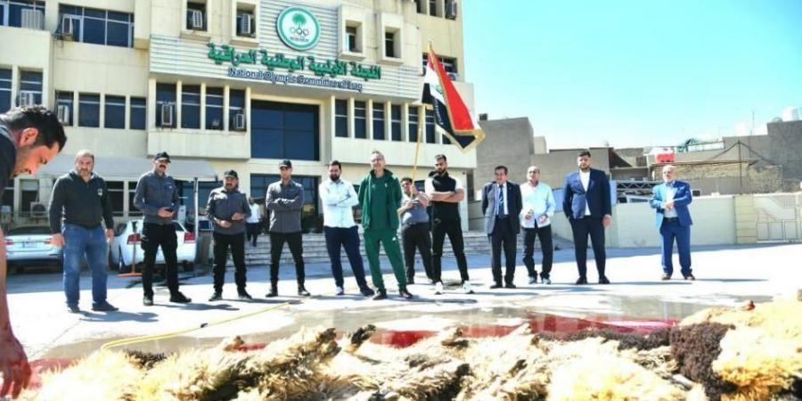 اللجنة الأولمبية العراقية تنحر الذبائح احتفاءً بالصعود للمونديال