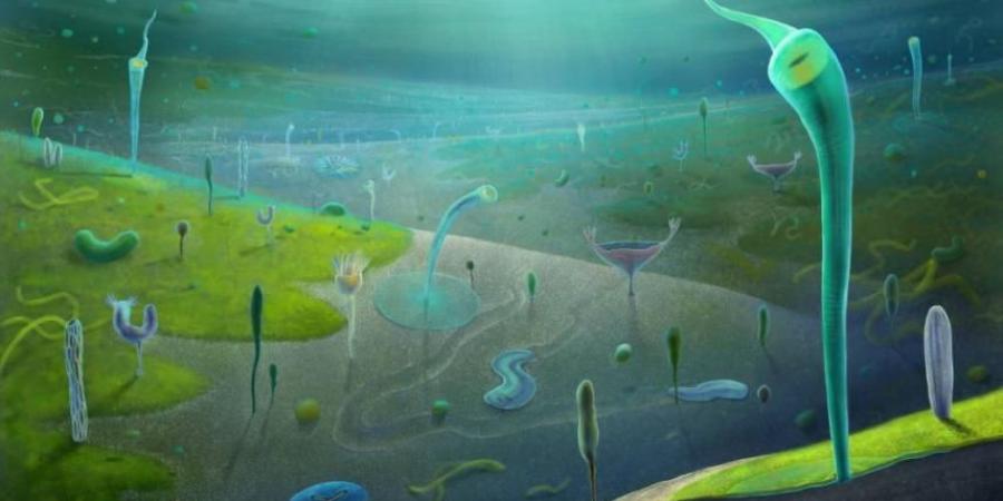 حفريات صينية تكشف عن كائنات بحرية عاشت قبل 546 مليون سنة