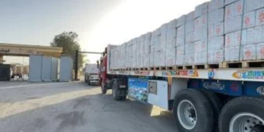 مصر تمد غزة بـ4910 أطنان من المساعدات الإنسانية وتستقبل الدفعة 31 من المصابين