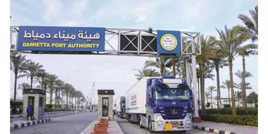 وزارة النقل: تواصل تدفق الشحنات الأوروبية المتجهة إلى دول الخليج عبر خط «الرورو»