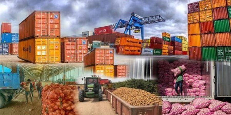 الدول العربية تتصدر مستوردي الصناعات الغذائية المصرية بـ1.126 مليار دولار خلال 4 أشهر