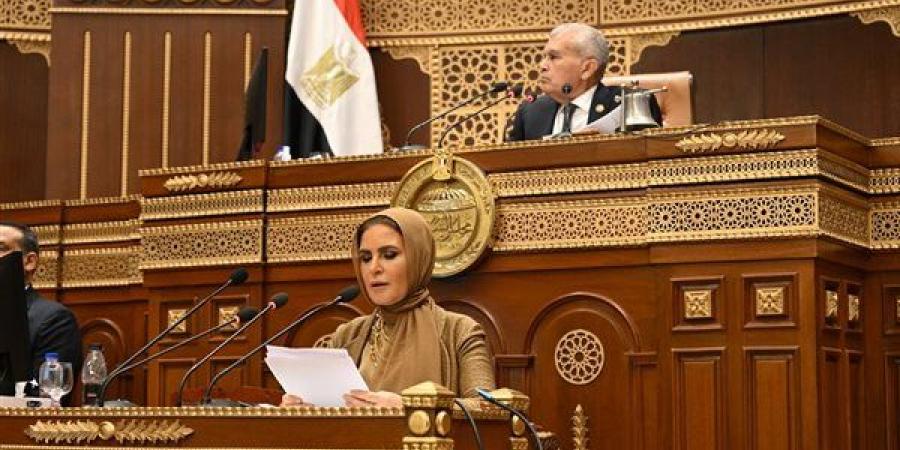 سحر نصر تستعرض تفاصيل دراسة الأثر التشريعي لقانون الشركات المساهمة