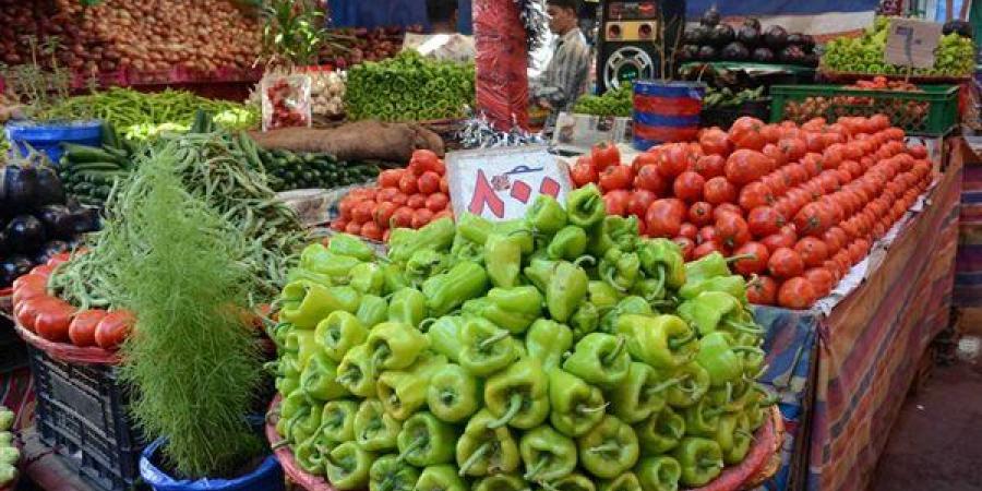 سعر الخضار اليوم، ارتفاع الخيار والباذنجان وانخفاض الفلفل والكوسة والفاصوليا
