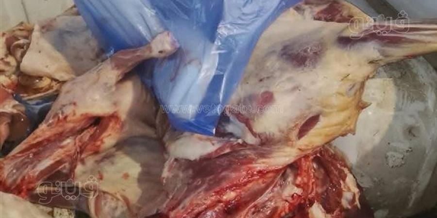 حملة تفتيشية بمطروح تضبط 137 كيلو لحوم غير مطابقة للاشتراطات الصحية