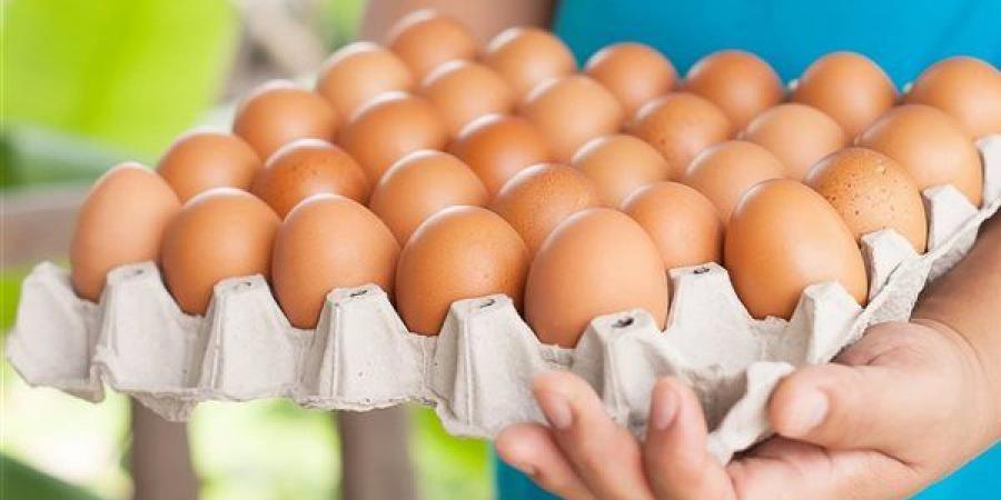ارتفاع سعر كرتونة البيض اليوم الأحد في بورصة الدواجن