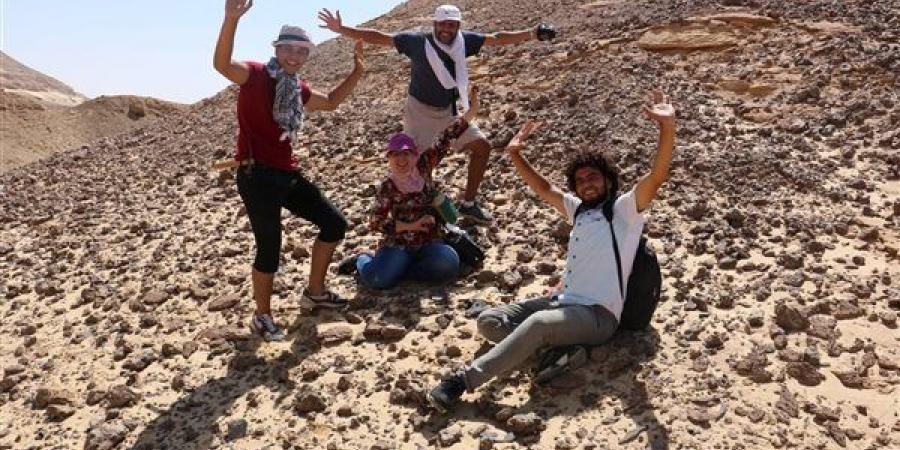 جامعة المنصورة: اكتشاف حفري لكائنات حلقت في سماء مصر قبل 95 مليون سنة