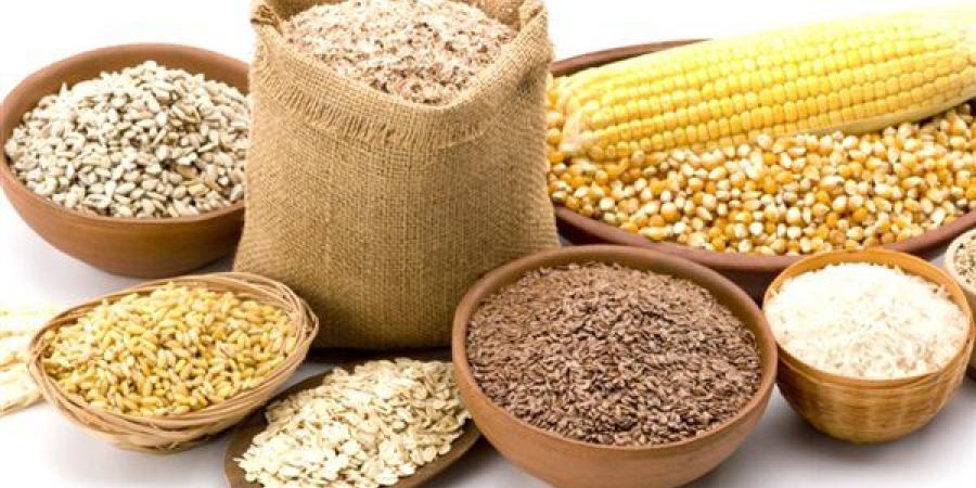انخفاض الردة والصويا والذرة، أسعار الأعلاف والحبوب اليوم في الأسواق