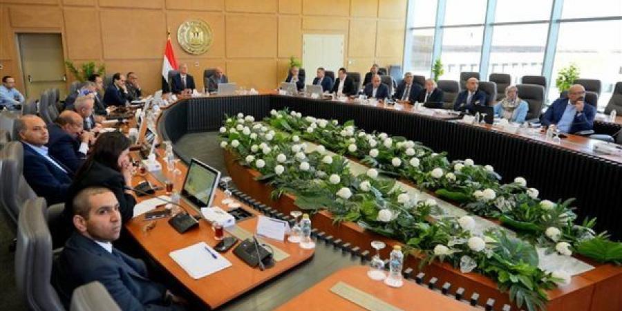 وزيرا الكهرباء والبترول يبحثان خطة مواجهة ارتفاع الأحمال خلال فصل الصيف