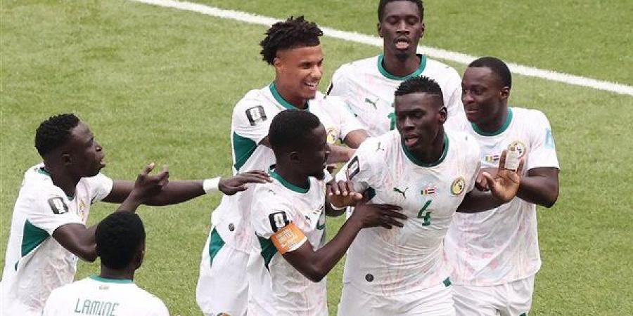 تعرف على مشوار بلجيكا والسنغال في كأس العالم قبل مواجهة اليوم