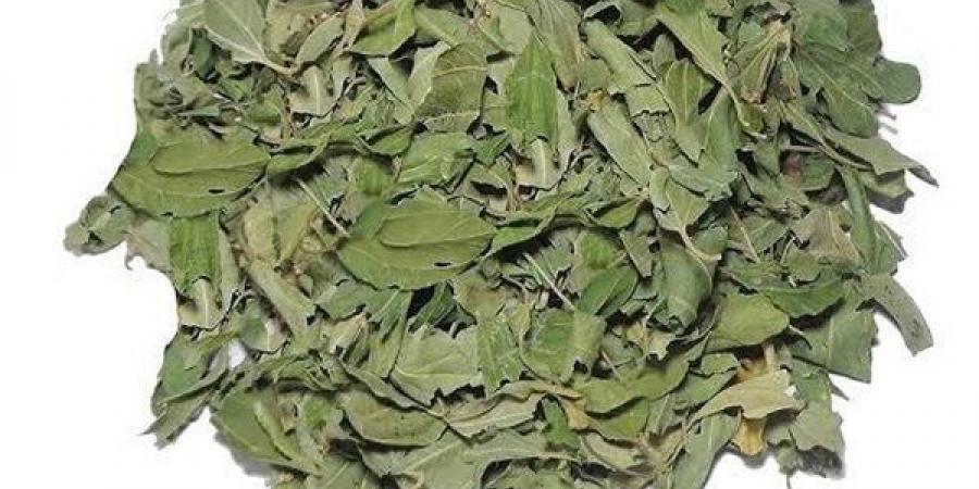 فوائد السدر لتعزيز كثافة الشعر وقوته ولمعانه