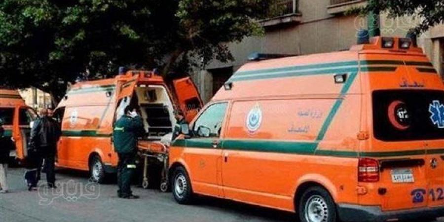 إصابة 3 أشخاص في تصادم دراجة نارية بسيارة ربع نقل بطريق المنصورة - جمصة
