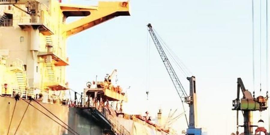 ميناء شرق بورسعيد يستقبل إحدى أكبر سفن الصب الجاف "GENCO LION"
