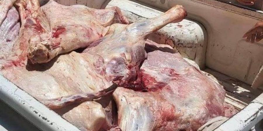 تحرير 205 مخالفات تموينية وضبط لحوم غير صالحة للاستهلاك في المنيا