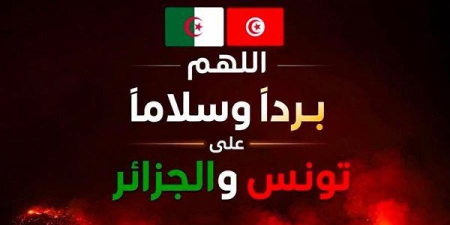 "اللهم اجعلها بردًا وسلامًا"، تضامن واسع من الفنانين مع تونس والجزائر بعد الحرائق المدمرة