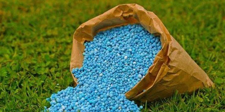 باستثناء النترات العادي، انخفاض أسعار الأسمدة اليوم في الأسواق