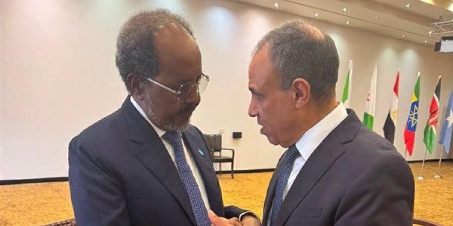وزير الخارجية يلتقي الرئيس الصومالي