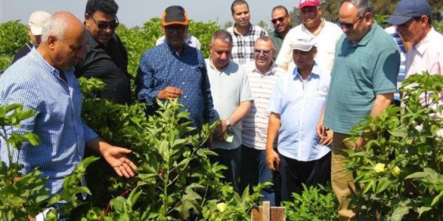 البحوث الزراعية في أسبوع، 50 نشاطًا بحثيًا وتدريبيًا ورقابيًا لدعم الأمن الغذائي وتوطين التكنولوجيا