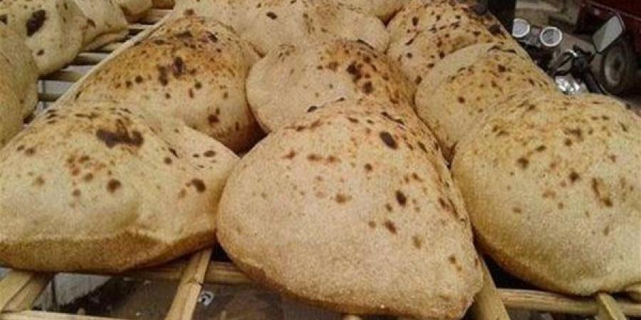 عبد الجواد: استقرار صرف الدقيق للمخابز على مستوى الجمهورية بعد تطبيق الخصم المباشر
