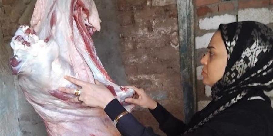 بيطري المنيا يحرر 33 محضرا ويضبط 864 كيلو لحوم ودواجن وأسماك فاسدة