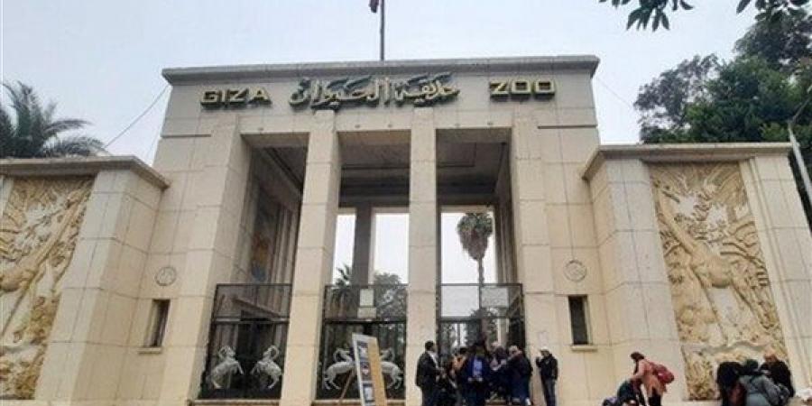 بها فيلة وحيوانات نادرة، موعد افتتاح حديقة الحيوان بالجيزة 2026