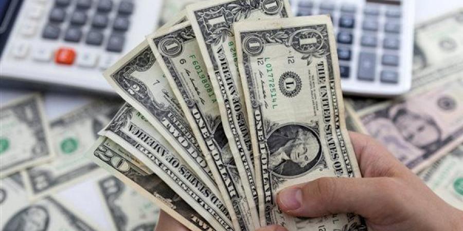 خبير اقتصادي لـ"فيتو": المشروعات ذات القدرة التشغيلية المرتفعة تعظم العائد على الاقتصاد والمواطن