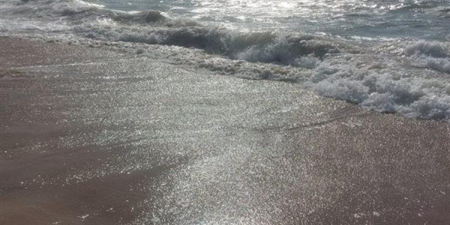 رئيس إدارة المصايف بالإسكندرية يتابع الالتزام بعدم نزول البحر بسبب ارتفاع الأمواج (فيديو وصور)