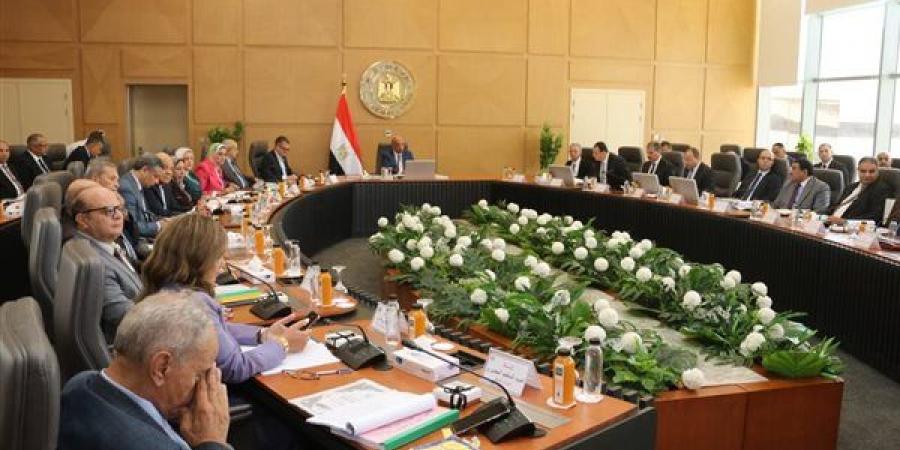 الكهرباء: 37 مليار جنيه استثمارات لدعم وتطوير وتحديث الشبكة