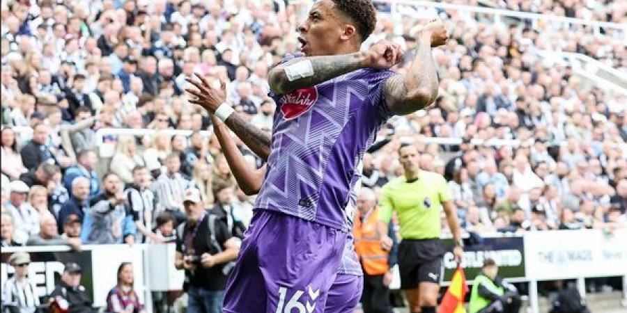 الدوري الإنجليزي، بورنموث يتقدم على نيوكاسل 2-1 في الشوط الأول (فيديو)