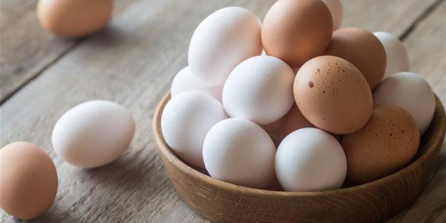 أسباب ارتفاع سعر البيض البلدي رغم انخفاض الأبيض والأحمر