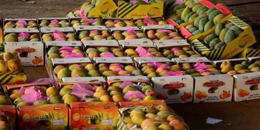 أسعار المانجو اليوم الثلاثاء، ارتفاع يصل إلى 10 جنيهات في 7 أنواع منها العويسي والفص