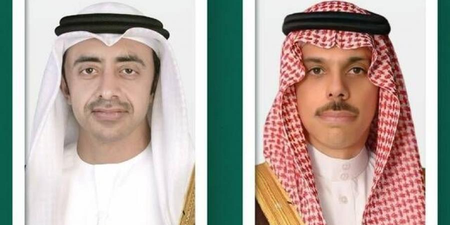 وزير الخارجية ونظيره الإماراتي يبحثان مستجدات الأوضاع بالشرق الأوسط