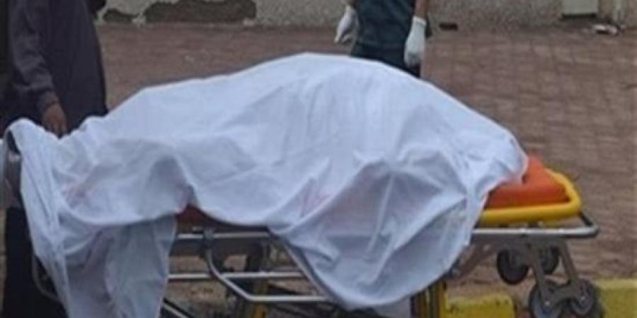 أمن المنوفية يكشف غموض وفاة شاب بقرية الماي بشبين الكوم ويضبط المتهم