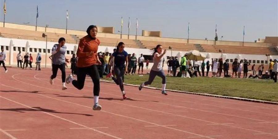 جامعة عين شمس تبدأ حصد الميداليات في أسبوع شباب الجامعات الرابع عشر