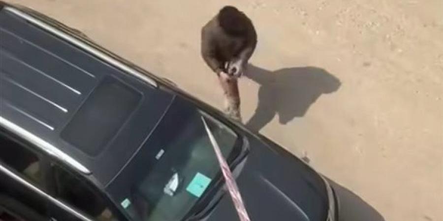 القبض على المتهم بتحطيم السيارات والممتلكات في عزبة النخل