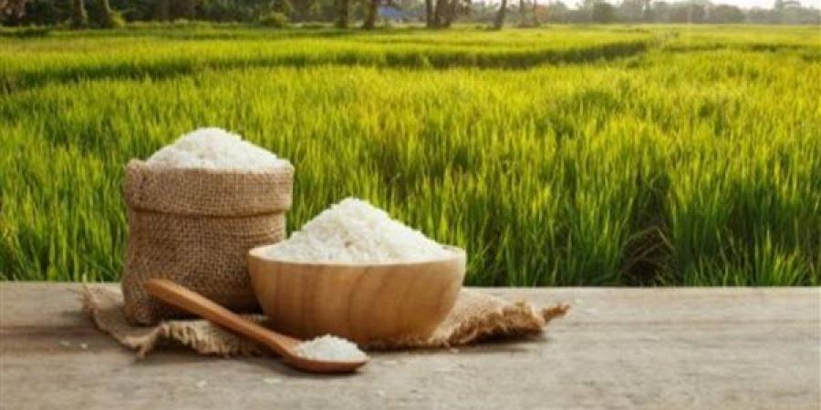 أسعار الأرز في الأسواق اليوم الإثنين