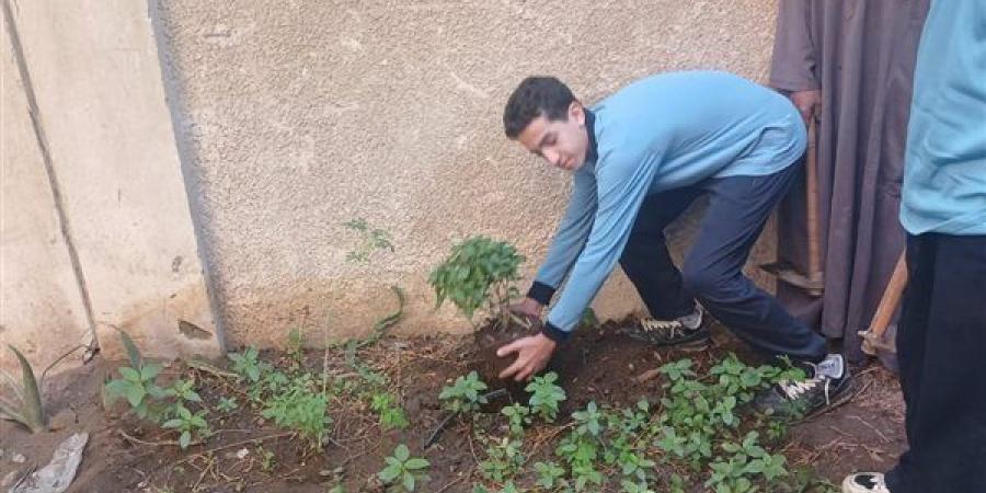“اتحضر للأخضر” داخل مدارس الجيزة، تدريب الطلاب عمليا على زراعة الأشجار والنباتات