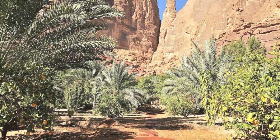 تقديراً لريادتها في السياحة.. العُلا تحصد الذهب عالمياً