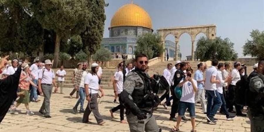 "الأوقاف الإسلامية بالقدس": 907 مستوطنين اقتحموا المسجد الأقصى بحماية شرطة الاحتلال