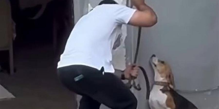 مشهد يثير الغضب، شاب يعذب كلبا في الإسكندرية ومطالبات بتحديد هويته (صور)
