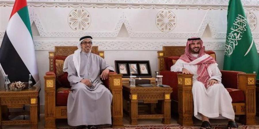 وزير الدفاع السعودي يستقبل نائب الرئيس الإماراتي في الرياض