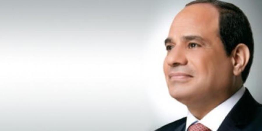 عمدة السرارية للرئيس السيسى: شكلنا لجنة من المثقفين بقريتنا للرد على الشائعات