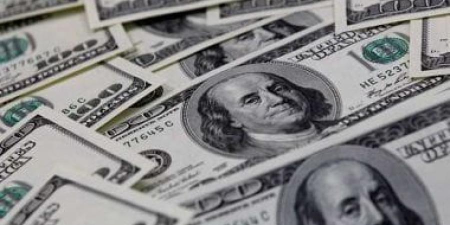 تعرف على سعر الدولار مقابل الجنيه فى البنك المركزى المصرى