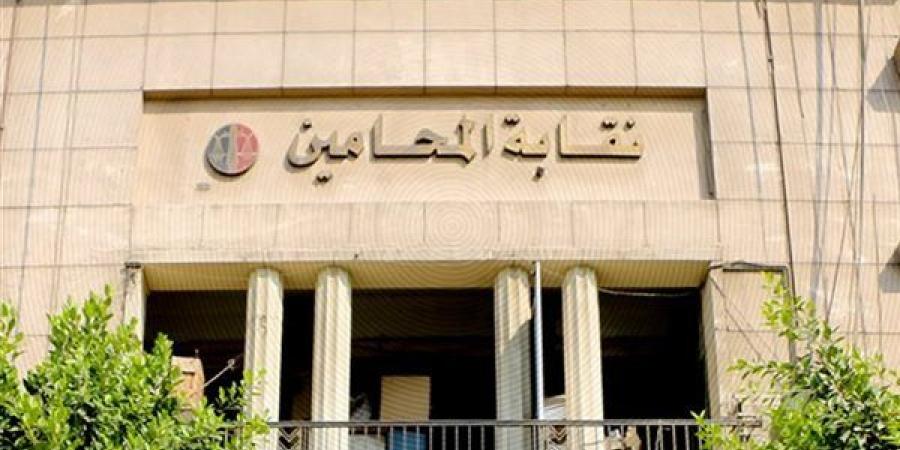 "المحامين" تنظم دورة تدريبية حول التقاضي عن بعد، السبت