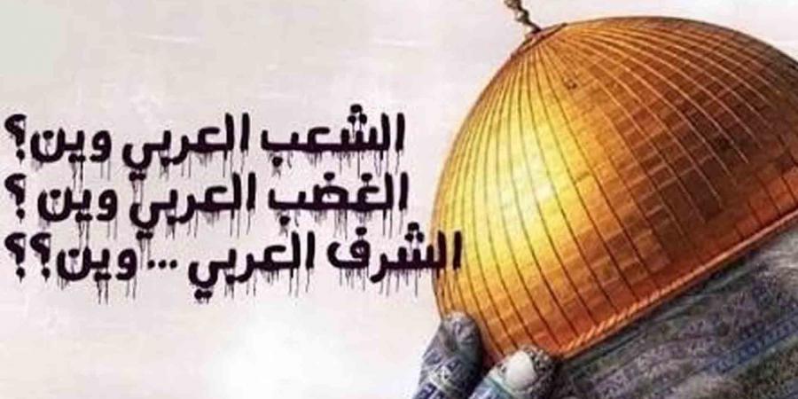 «وين الملايين».. أغنية فلسطينية الهوى عبرت حدود الجغرافيا