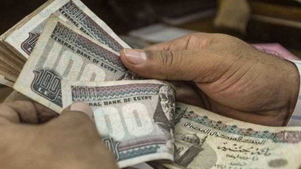 قبل الخروج على المعاش.. ماذا تفعل إذا اكتشفت مدة عمل غير مسجلة؟
