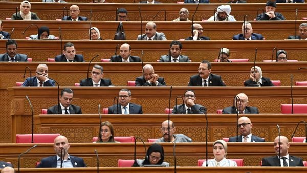 ضياء الدين داوود ينتقد ارتباك خطوات إرجاء الإجراءات الجنائية، والنائب الحصري يوضح توقيت تقديم التعديل
