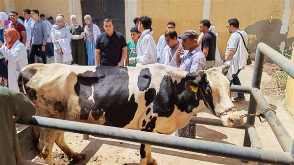 الزراعة: فحص وعلاج 114 ألف رأس ماشية و153 ألف طائر في 276 قرية