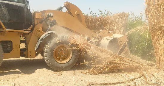 تنفيذ 18 حالة إزالة تعدٍ لاسترداد 53 فدانًا من أراضي الدولة والزراعة بقنا وقفط