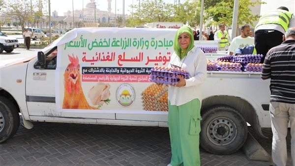 بتخفيضات 25%..«الزراعة» تطرح بيض المائدة في سيارات بالقاهرة والجيزة